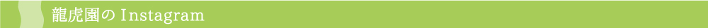龍虎園のInstagram