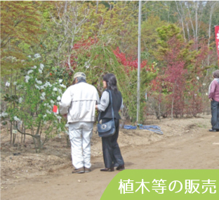 植木等の販売
